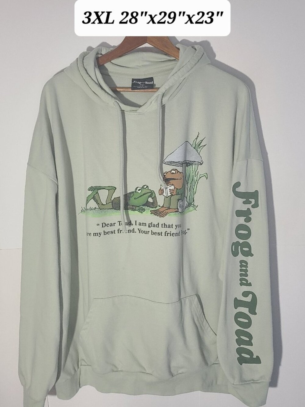 Frog and Toad Best Friend Green 3XL Men's Hoodie Officially Licensed